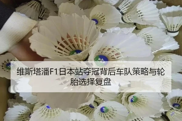 维斯塔潘F1日本站夺冠背后车队策略与轮胎选择复盘 - haixing